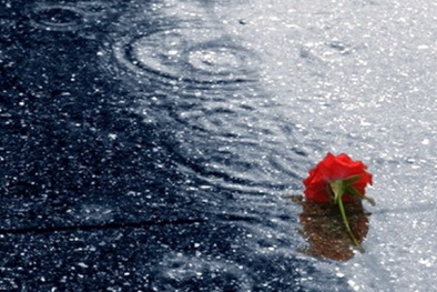 Dự báo thời tiết ngày mai 27/8: Bắc Bộ chiều tối có mưa rào và dông vài nơi 