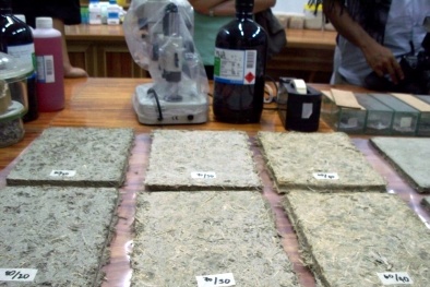 Vật liệu từ lông gà tạo bước đột phá cho ngành xây dựng