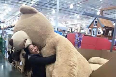 Giới trẻ ‘phát sốt’ vì ... gấu bông khủng