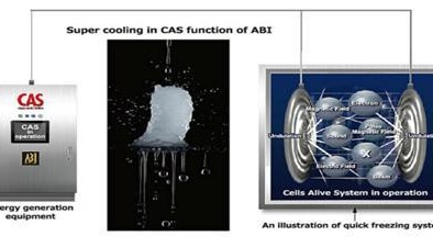 Hệ thống bảo quản tế bào giúp gia tăng chất lượng hàng đông lạnh