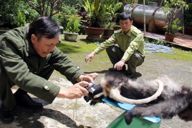 Tin tức pháp luật mới nhất 24h hôm nay ngày 27/8