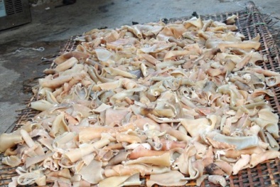 Hãi hùng 700 kg bì lợn thối suýt lên mâm cơm Việt