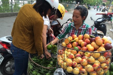 Hà thành giải khát 100 tấn cam Trung Quốc mỗi ngày