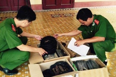 Thanh niên cho nổ mìn nhà bạn gái vì ngăn cấm yêu đương