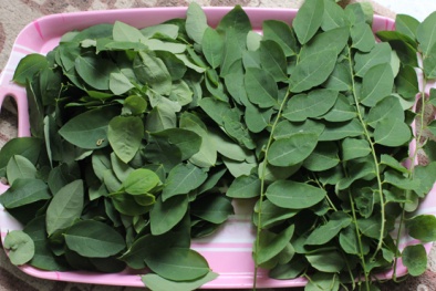 3 tháng đầu mang thai cần tránh thực phẩm nào? 