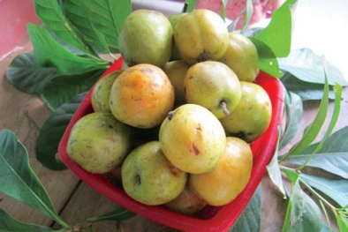 Cách ngâm rượu táo mèo thơm ngon, tốt cho sức khỏe