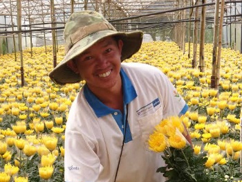 Ông trùm 'kim cương' ở làng hoa Thái Phiên