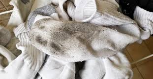Lĩnh án tù vì cố tiêu thụ...tất bẩn 