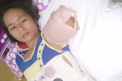 Hổ nuôi vồ đứt cánh tay một thiếu nữ