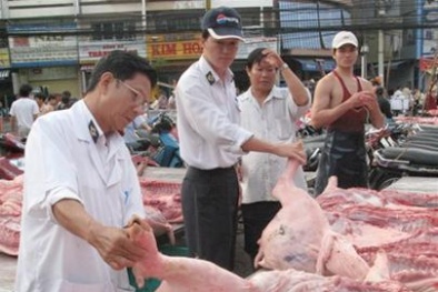 Lấy mẫu thịt, gan, thận lợn và bò ngay tại chợ để kiểm tra chất tạo nạc