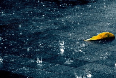 Dự báo thời tiết ngày mai 9/9: Bắc Bộ có mưa, đề phòng tố lốc và gió giật mạnh 