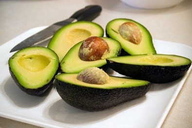 Cách trồng cây bơ trong nhà đơn giản, quả sai trĩu cành