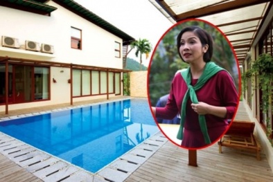 Tên trộm đang lục đồ trong phòng ngủ thì ca sĩ Mỹ Linh bật dậy 