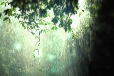 Dự báo thời tiết ngày mai 11/9: Nam Trung Bộ đề phòng lốc xoáy, gió giật mạnh 