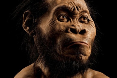 Phát hiện hóa thạch họ hàng mới của loài người tại Nam Phi