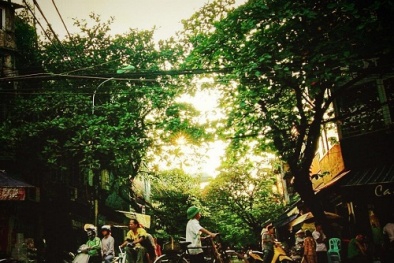 Dự báo thời tiết ngày mai 12/9: Bắc Bộ ngày nắng dịu, chiều và tối có mưa 