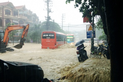 2015: Rét bất thường, nắng kỷ lục và mưa lịch sử