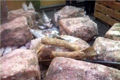 Tin tức pháp luật mới nhất hôm nay ngày 12/9