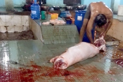 Đồng Nai: Kinh hãi thịt lợn bẩn từ lò mổ lậu