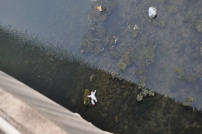 Trung Quốc: Mẹ ném con gái 2 tuổi xuống sông