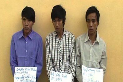 Tin tức pháp luật mới nhất 24h hôm nay ngày 14/9