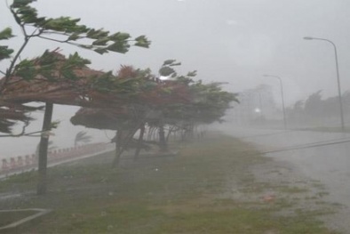 Bão số 3 đánh chìm 5 tàu, 21 ngư dân được cứu hộ an toàn