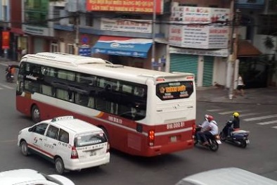 Hai hãng taxi lớn nhất tại TP.HCM có nhiều tài xế dương tính với ma túy