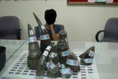 Cả nước xử lý gần 200 vụ vận chuyển trái phép động vật hoang dã