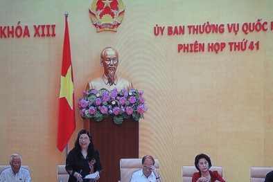 Chủ tịch QH Nguyễn Sinh Hùng: Đừng thấy nhập siêu giảm mà mừng