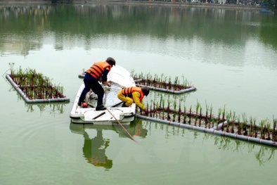 Hà Nội có biện pháp mạnh bảo vệ nguồn thủy sản và khu nước nội địa