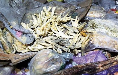 Kinh hoàng thực phẩm Trung Quốc để hàng chục năm vẫn 'ngon'