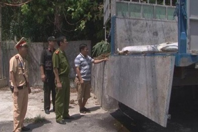 Tiêu hủy 3 tấn mỡ không rõ nguồn gốc mang mầm bệnh