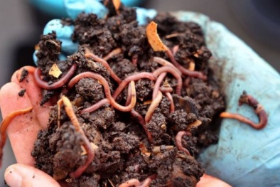 Tin tức pháp luật mới nhất hôm nay ngày 21/9