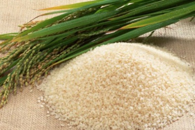 Cách chọn gạo ngon cho bữa cơm gia đình ấm áp