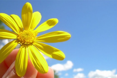 Dự báo thời tiết ngày 24/9: Bắc Bộ ngày nắng, chiều tối có mưa rải rác