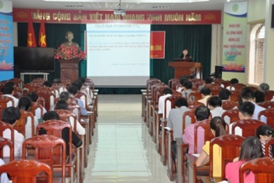 Thái Bình Tập huấn kỹ năng xây dựng, áp dụng ISO hành chính công