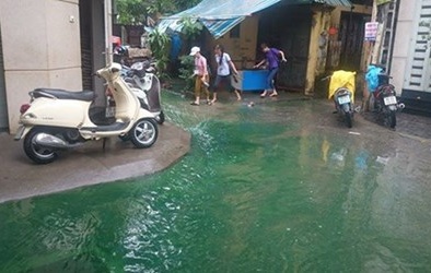 Thủ phạm gây nguồn nước xanh kỳ lạ ở Hà Nội