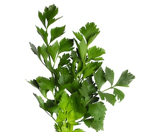 Bốn loại rễ cây trị bách bệnh trong bếp nhà bạn