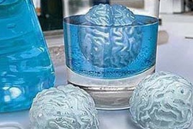 Đông lạnh não chờ hồi sinh trong tương lai