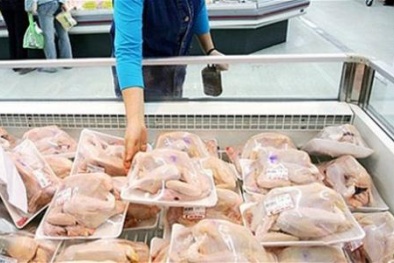 Đùi gà Mỹ giá rẻ: Chưa đủ cơ sở kết luận có gian lận thương mại 