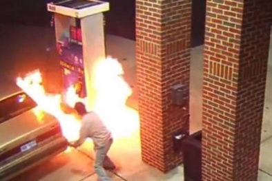 Mỹ: Suýt thiêu rụi cả trạm xăng chỉ vì một con nhện