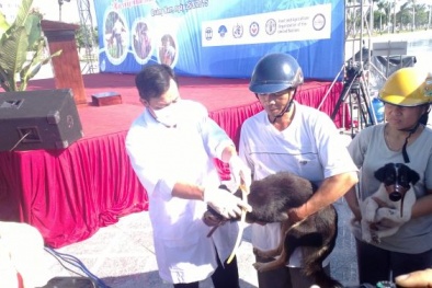 ‘Tiêu’ trên 300 tỷ đồng mỗi năm cho bệnh dại