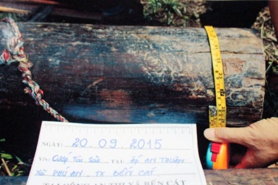 Tin tức pháp luật mới nhất hôm nay ngày 27/9