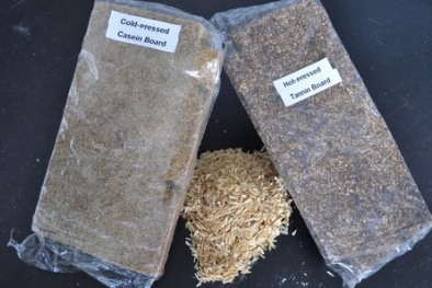 Ván dăm chống mối mọt, thân thiện với môi trường từ vỏ trấu