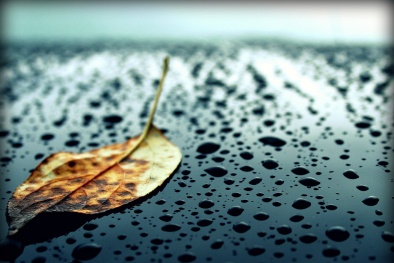 Dự báo thời tiết ngày 30/9: Trời nhiều mây, có mưa rải rác trong ngày 