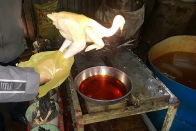Gà nhuộm bột sắt tái xuất: Chuyên gia thực phẩm nói gì? 