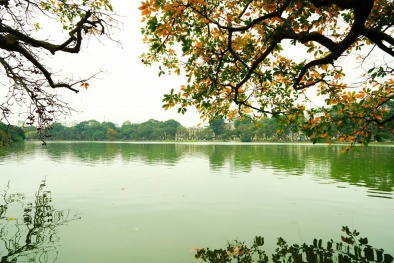 Dự báo thời tiết ngày mai 1/10: Trưa chiều trời nắng, gió nhẹ 