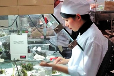 Khai thác nguồn gen thành sản phẩm thương mại 