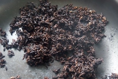 Nghi vấn gạo nhựa xuất hiện tại TP.HCM gây hoang mang