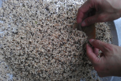 Trứng kiến gai đen có thực sự tốt như lời đồn?